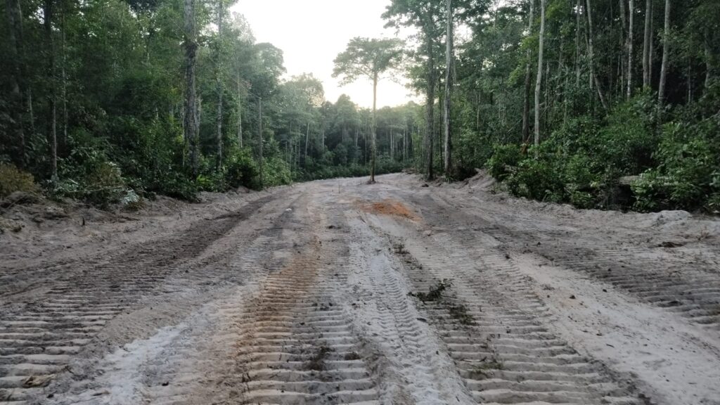 Construction of Laterite Service Roads