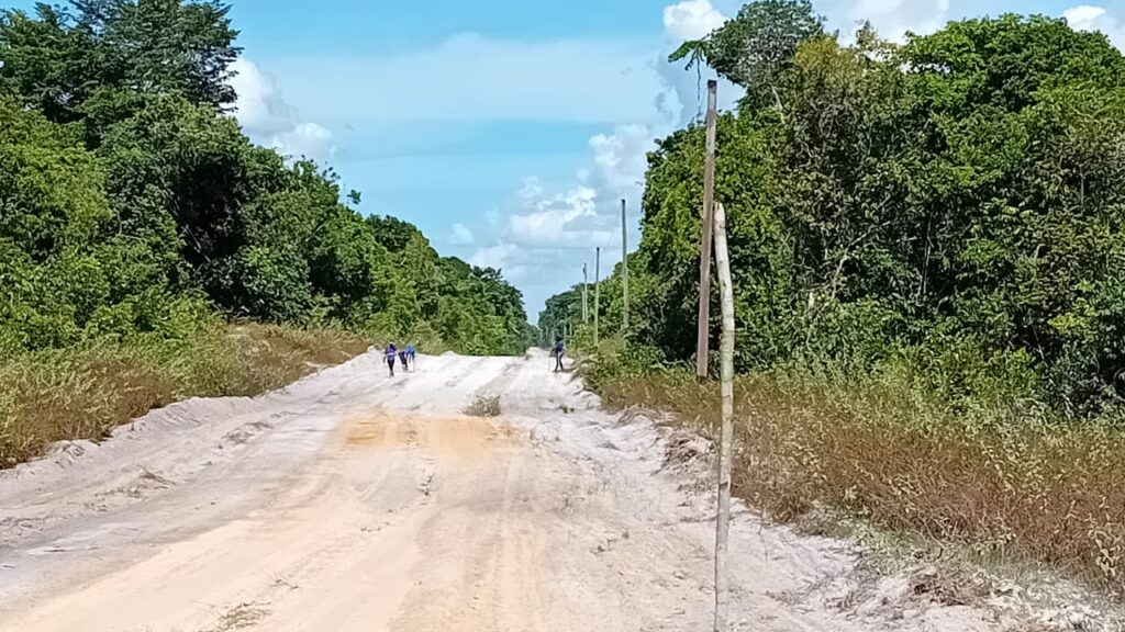 Construction of Laterite Service Roads
